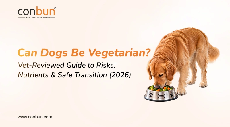 Can Dogs Be Vegetarian? Vet-Reviewed Guide to Risks, Nutrients & Safe Transition (2026)